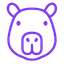 Cappify Logo